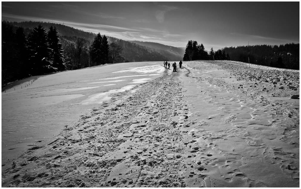 Schwarzwald Winter (III)