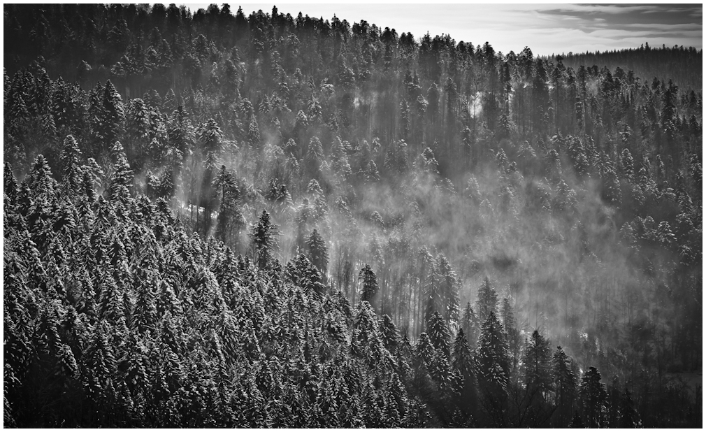 Schwarzwald Winter (IV)