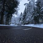 Schwarzwald Winter Road