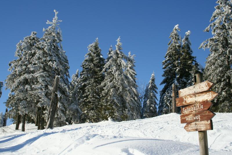 Schwarzwald - Wo bitte geht's zum Gipfel?