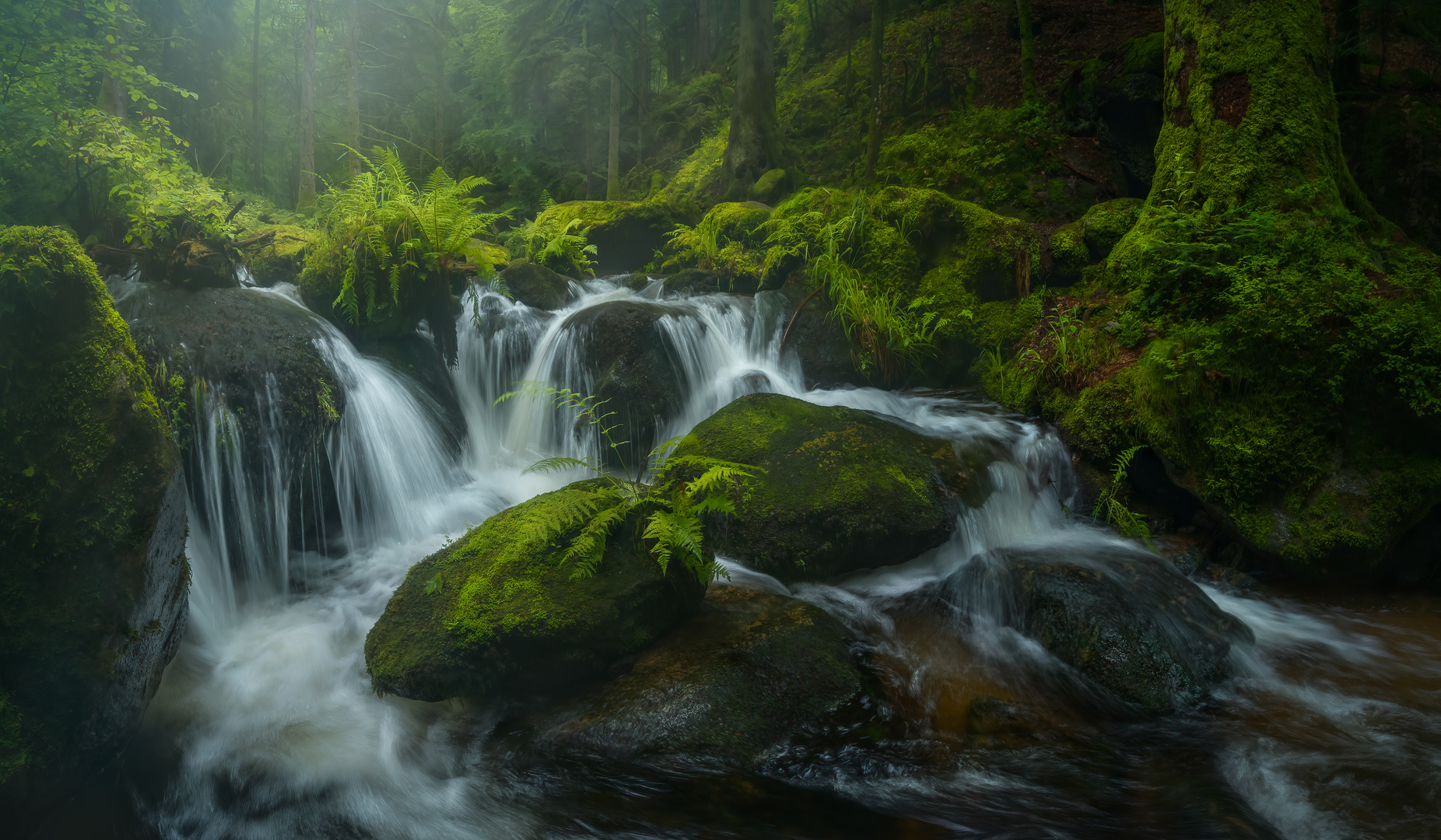 Schwarzwald - Zahlreiche Wasserfälle im Bühlertal