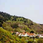 Schwarzwald.<3