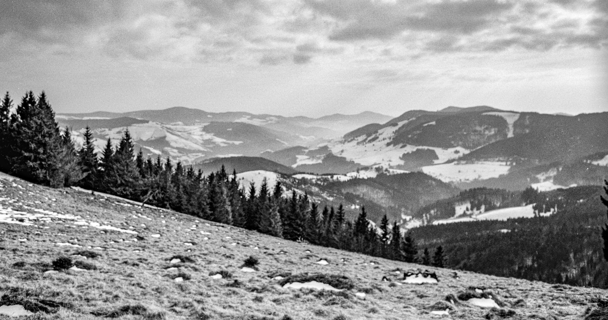 Schwarzwald_Anfang März 1991