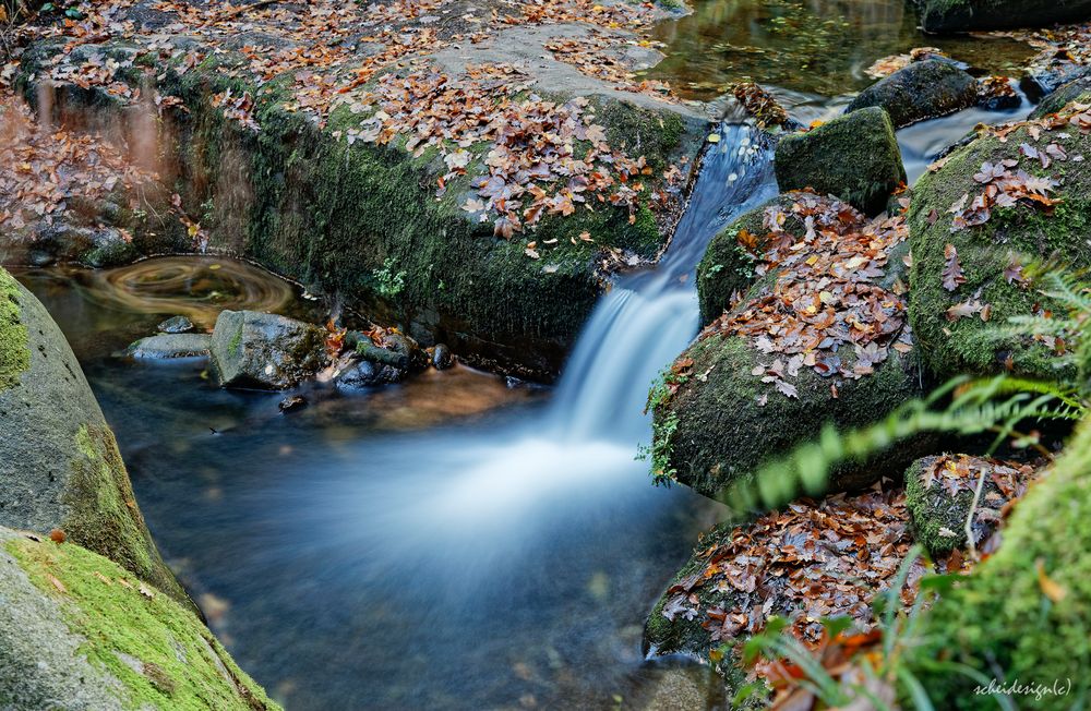 Schwarzwaldbach