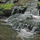 Schwarzwaldbach am Wanderpfad