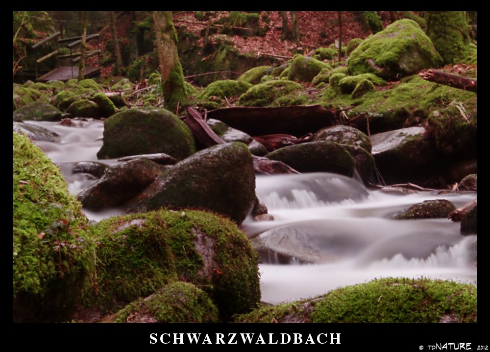 Schwarzwaldbach