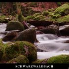 Schwarzwaldbach