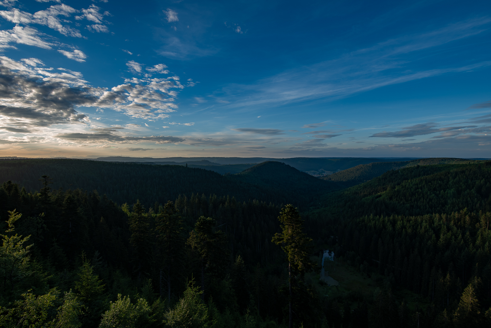 Schwarzwaldblick