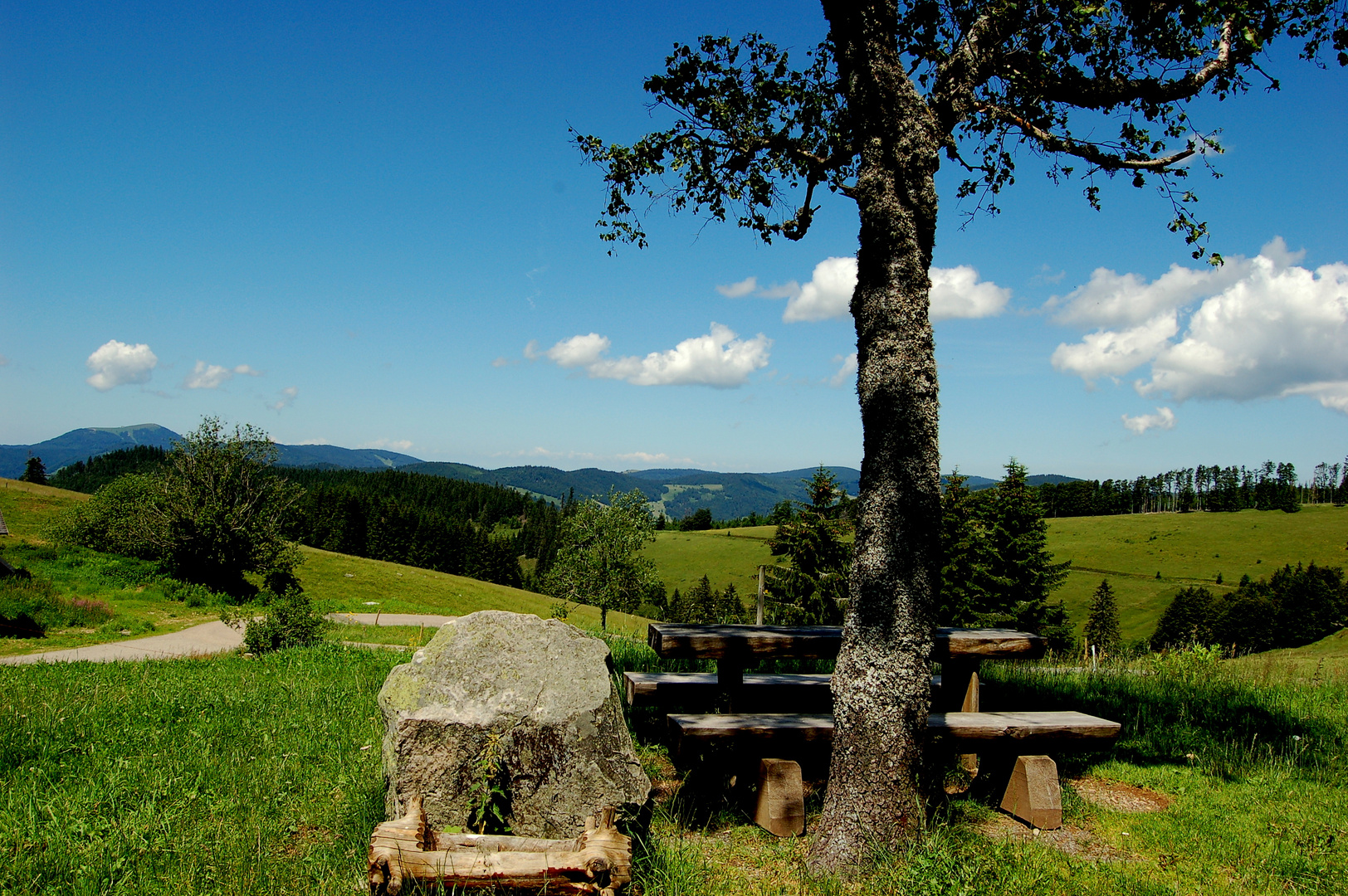 Schwarzwaldblick