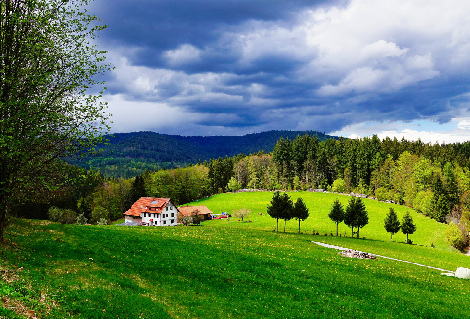 Schwarzwaldblick 3