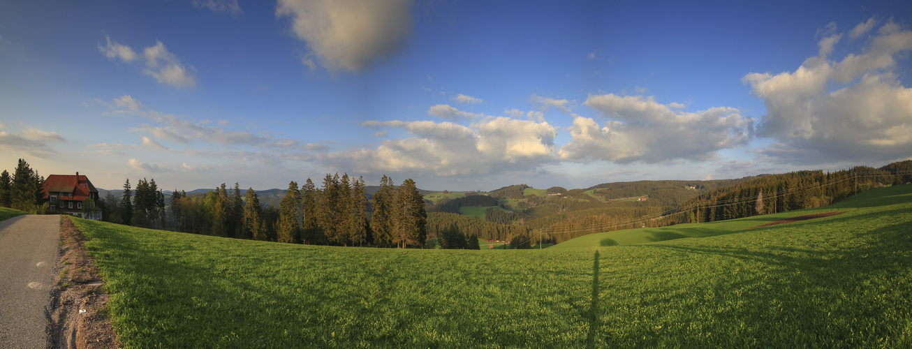 Schwarzwaldblick