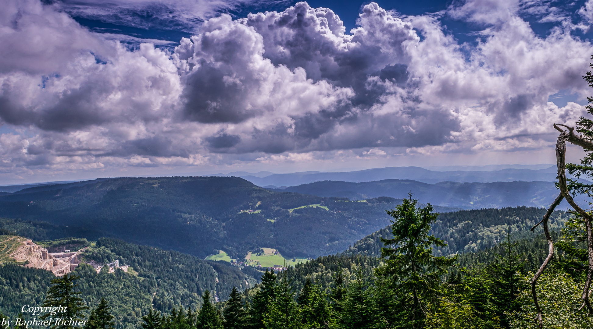 Schwarzwaldblick