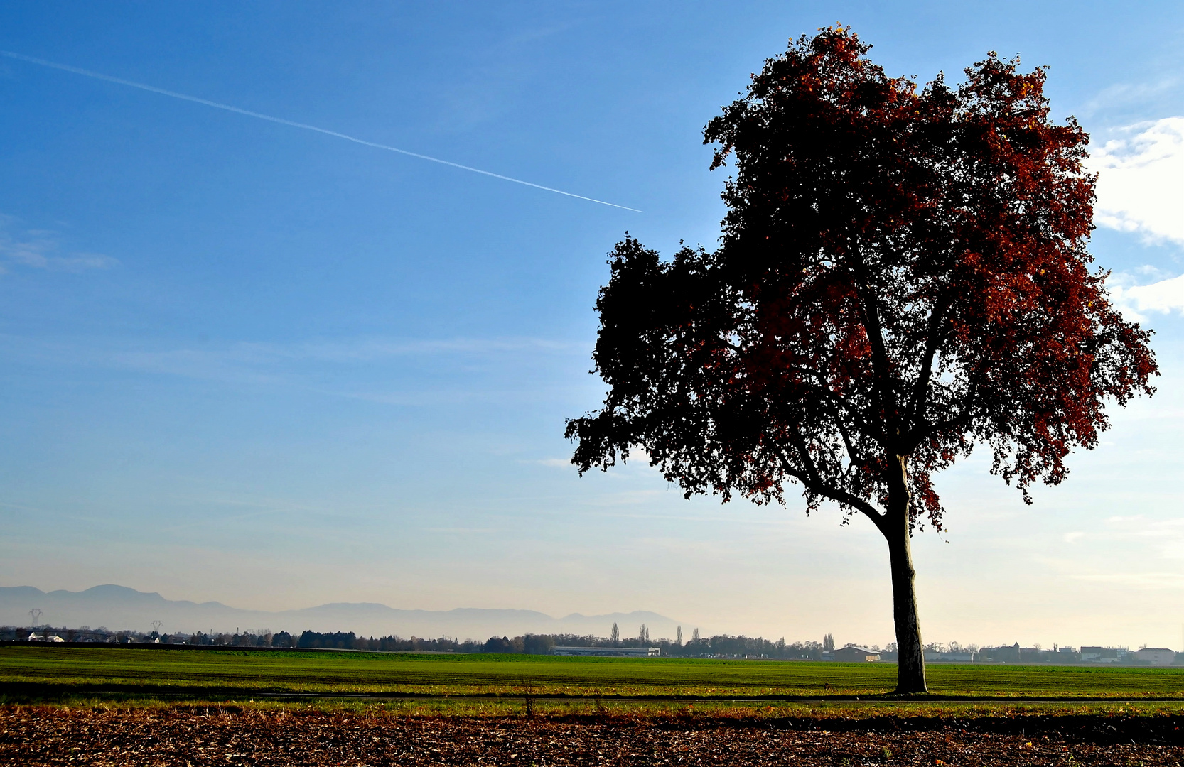 Schwarzwaldblick...