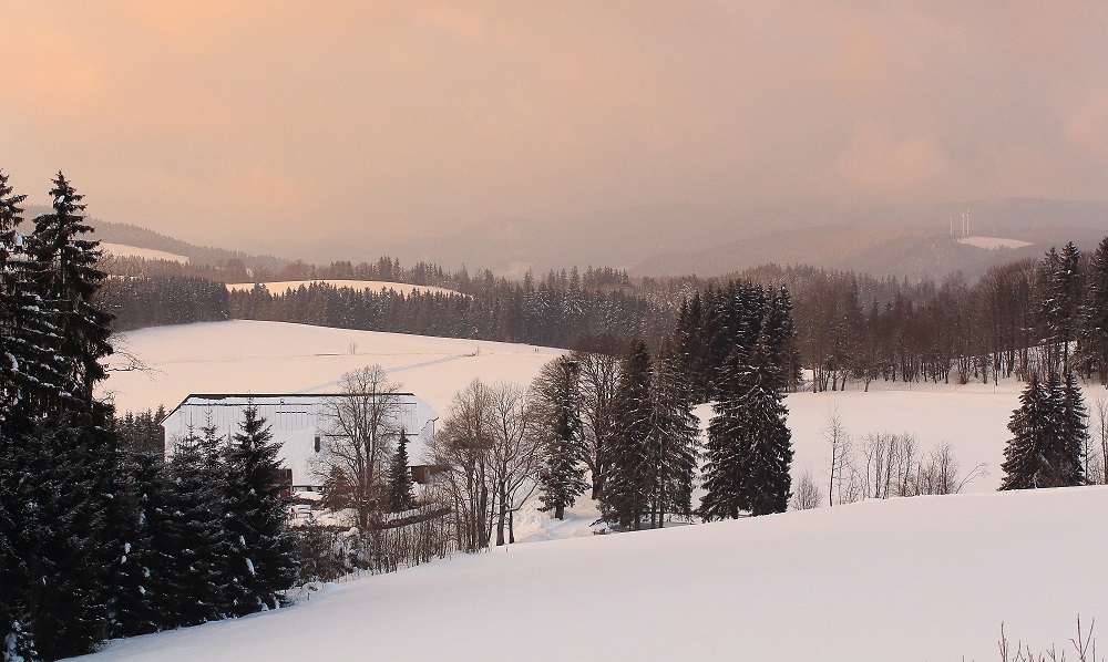 Schwarzwaldblick