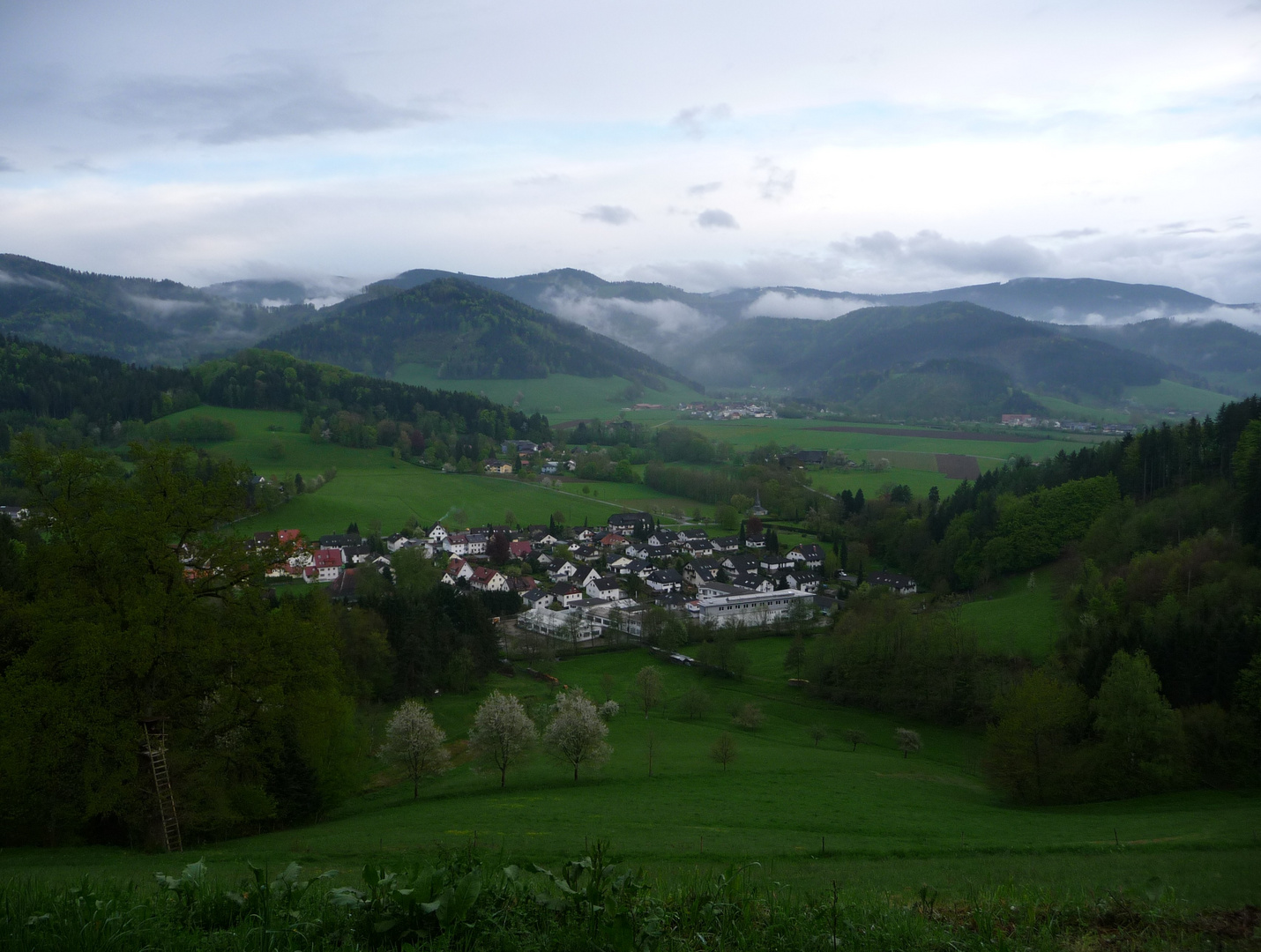 Schwarzwaldblick