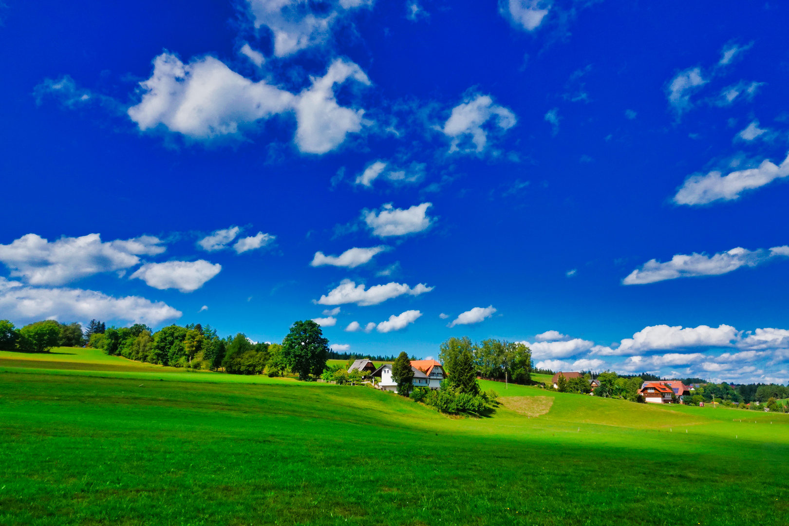 Schwarzwaldblick 