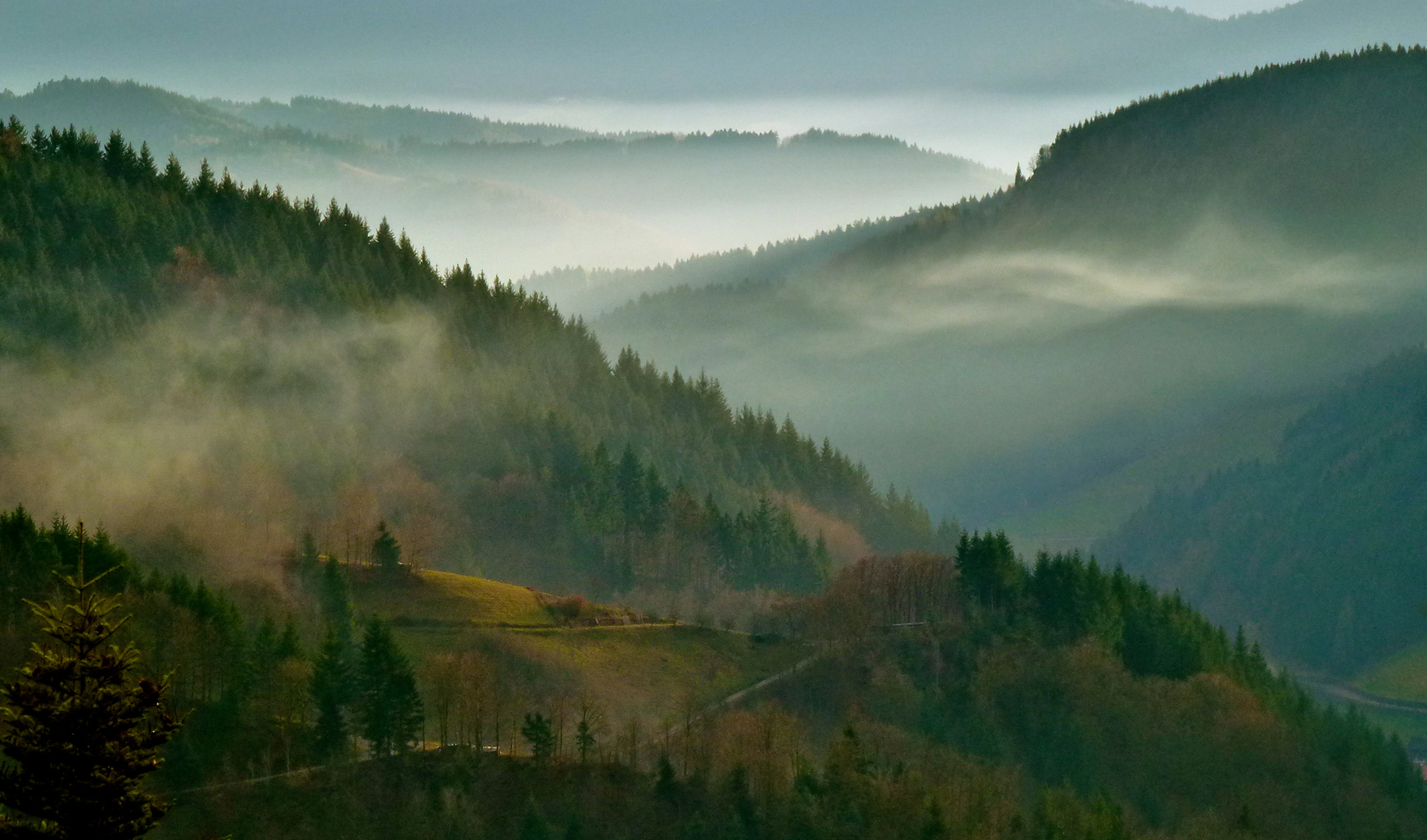 Schwarzwaldblick…..