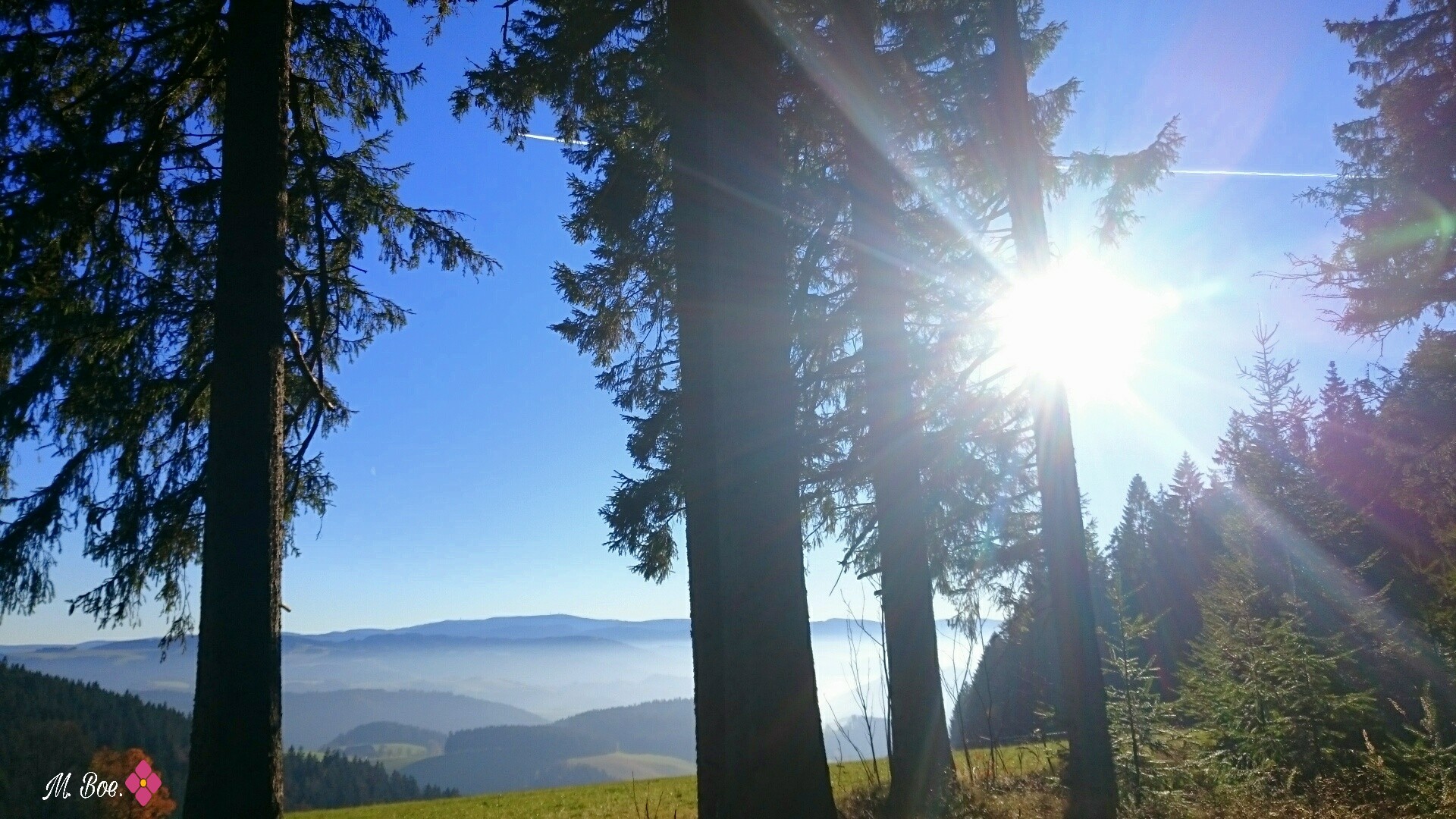 Schwarzwaldblick ins Nebeltal