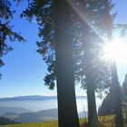 Schwarzwaldblick ins Nebeltal