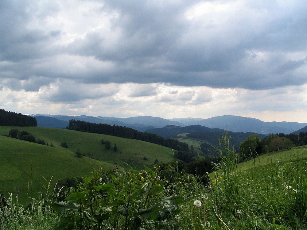 Schwarzwaldblick Richtung Feldberg(links im Bild)