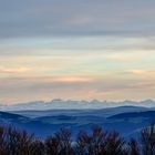 Schwarzwaldblick zu den Alpen