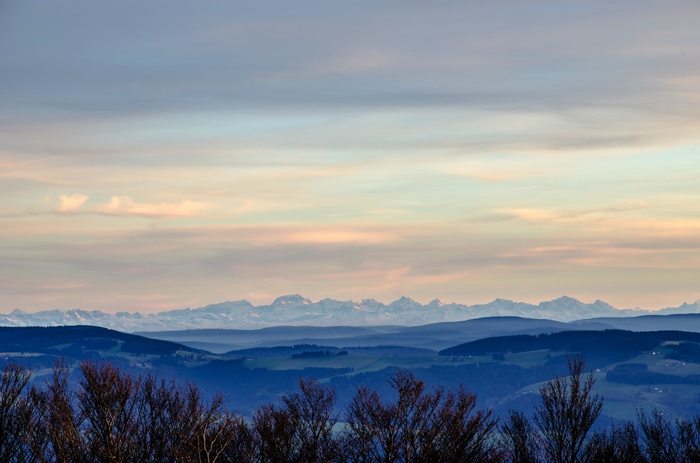 Schwarzwaldblick zu den Alpen