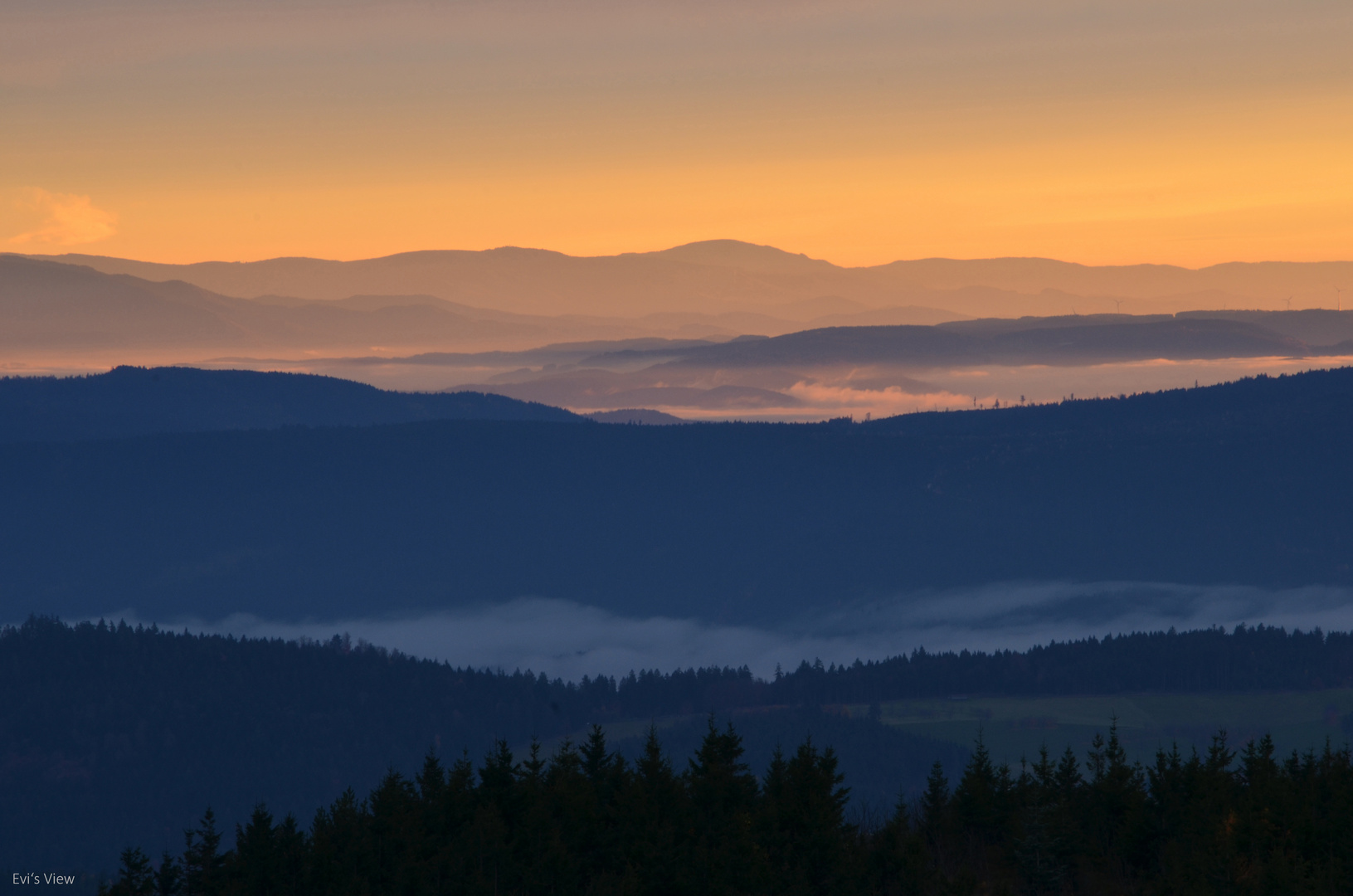 Schwarzwaldfarben, die Zweite