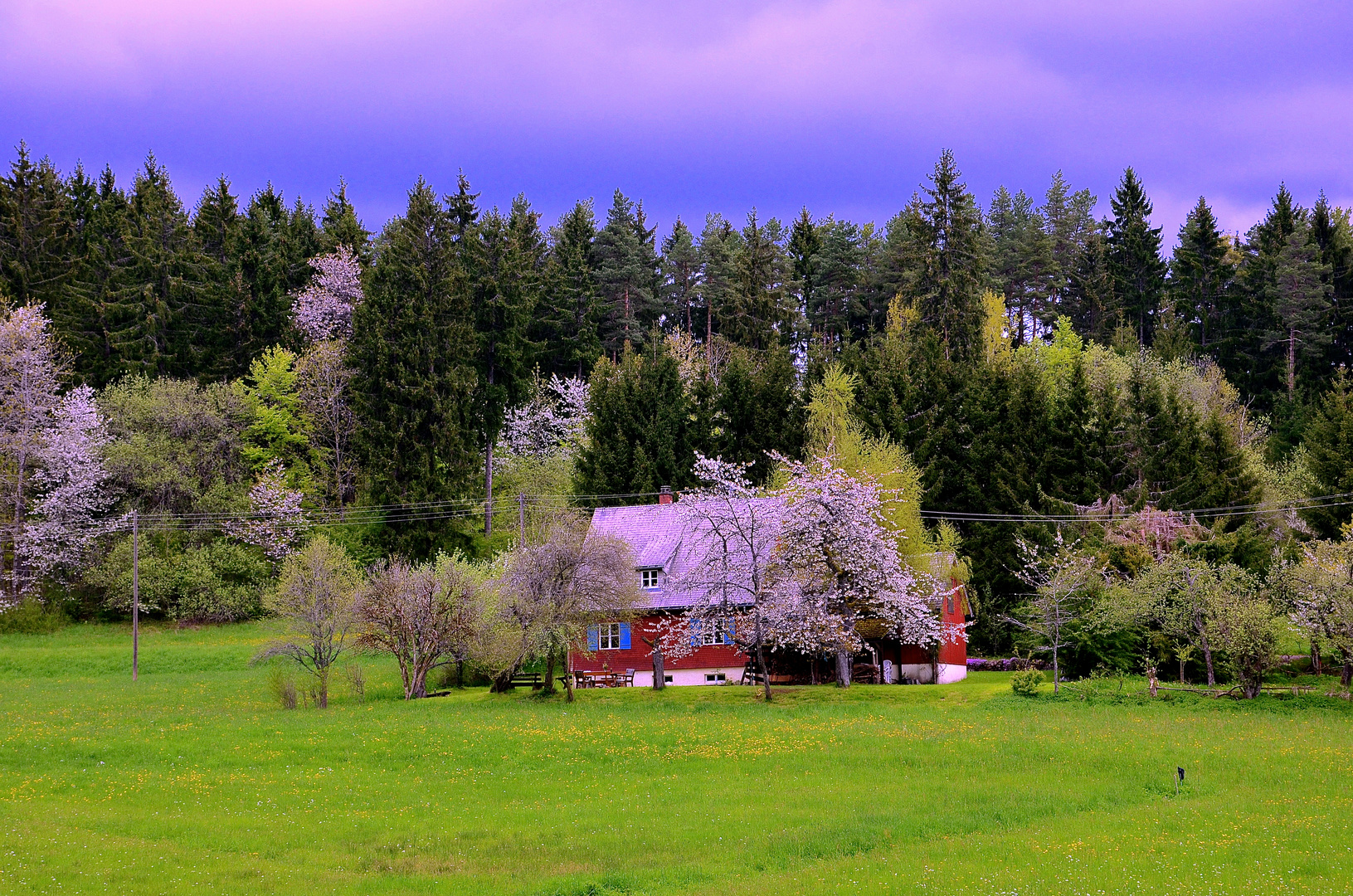 Schwarzwaldhaus