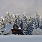 Schwarzwaldhaus am Feldberg