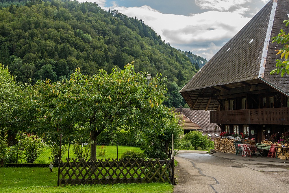 Schwarzwaldhaus in Geschwend