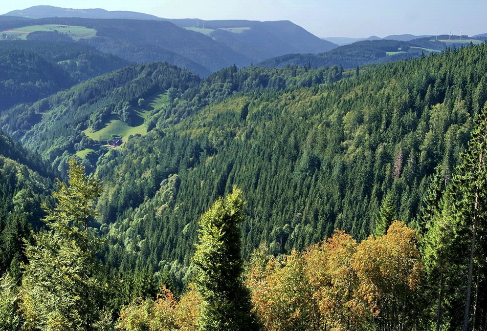 Schwarzwaldherbst