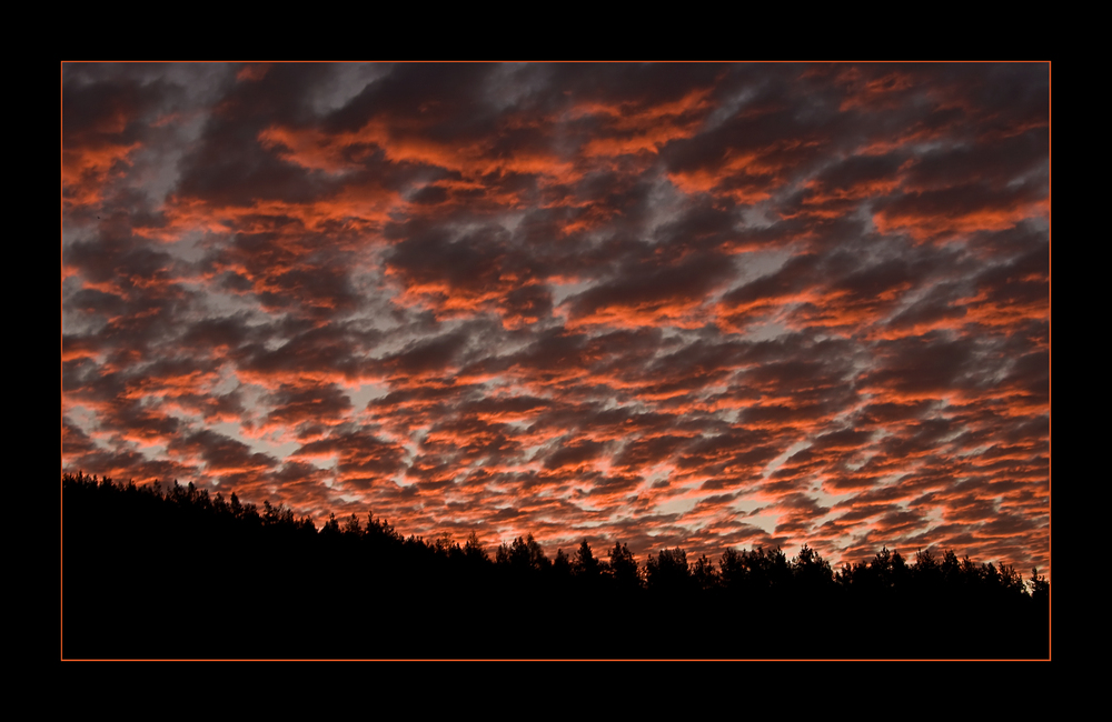 Schwarzwaldhimmel