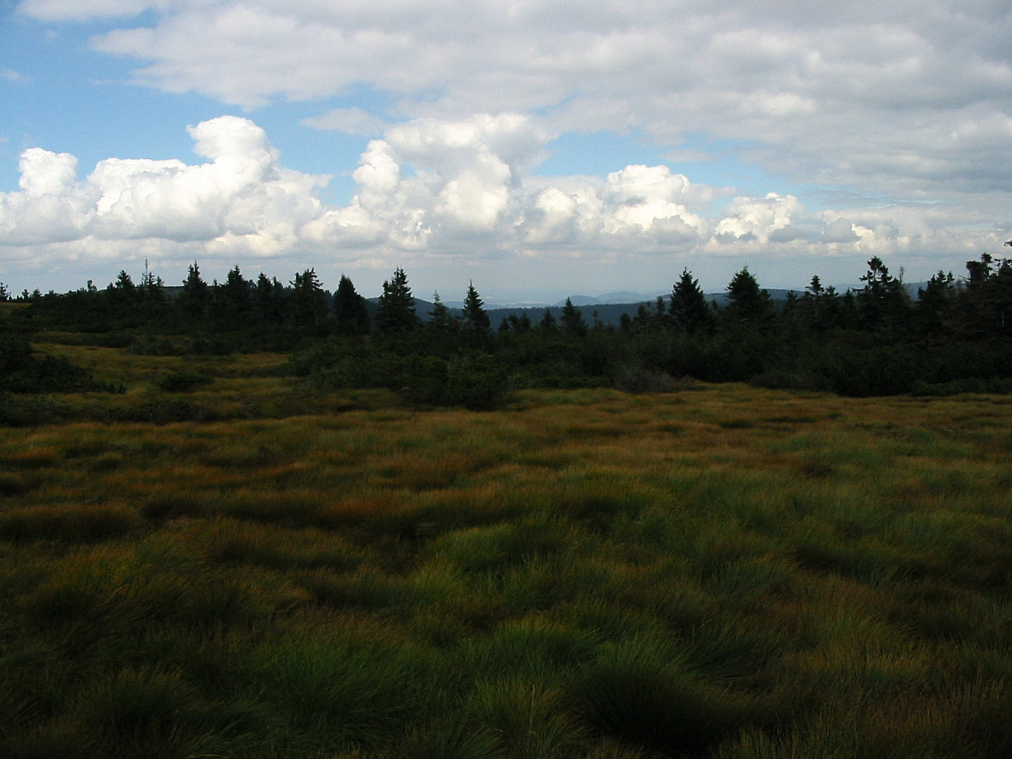 Schwarzwaldhochstrasse, Blick ins Rheintal