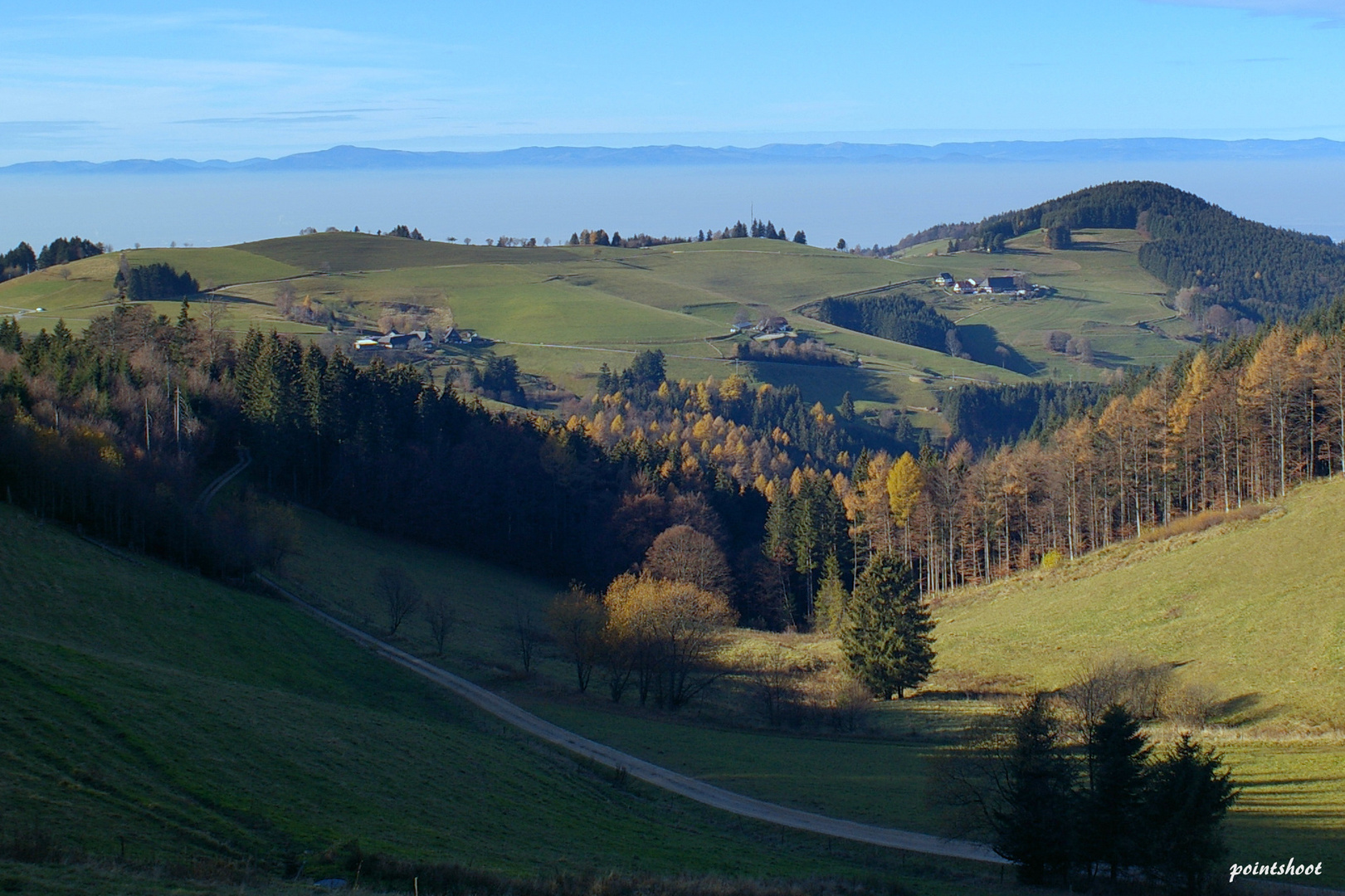 Schwarzwaldhöhen II