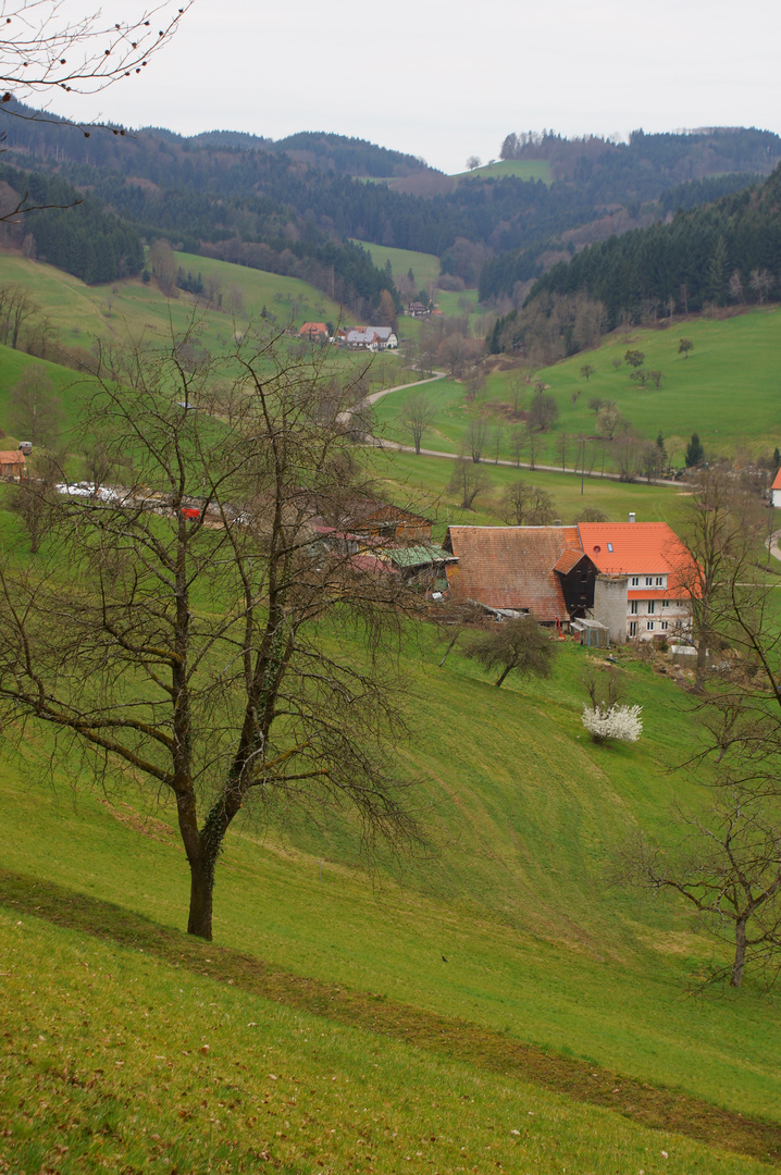 Schwarzwaldhof