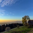 Schwarzwaldhof im Abendlicht 