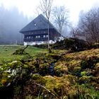 Schwarzwaldhof im Nebel