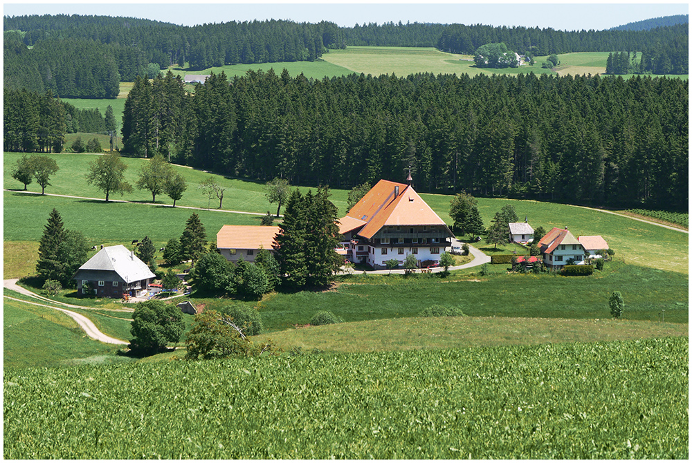 Schwarzwaldhof im südlichen Schwarzwald