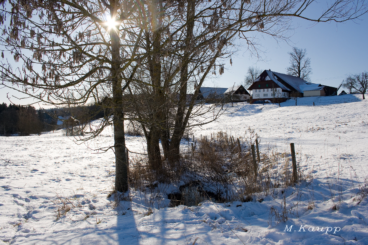 Schwarzwaldhof im Winter