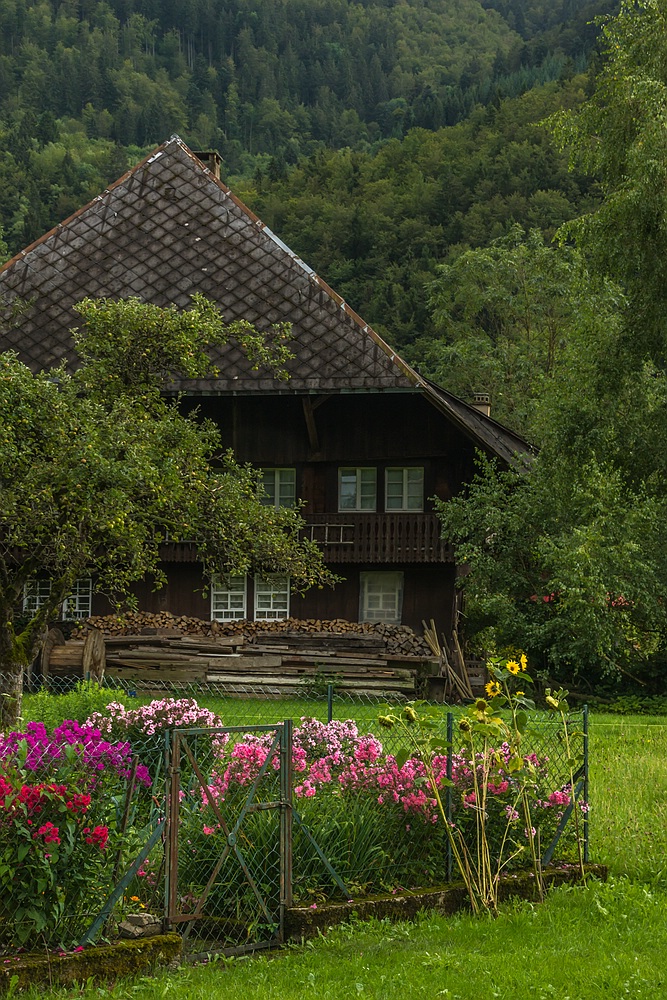 Schwarzwaldhof mit Garten