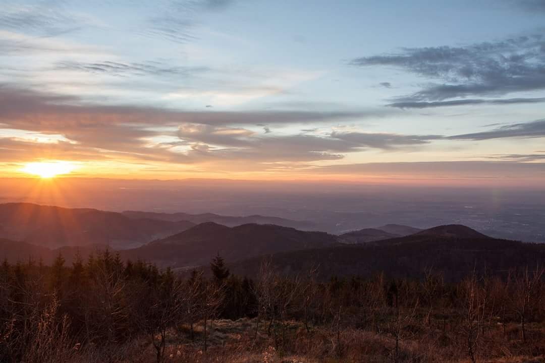 Schwarzwald/Hornisgrinde 