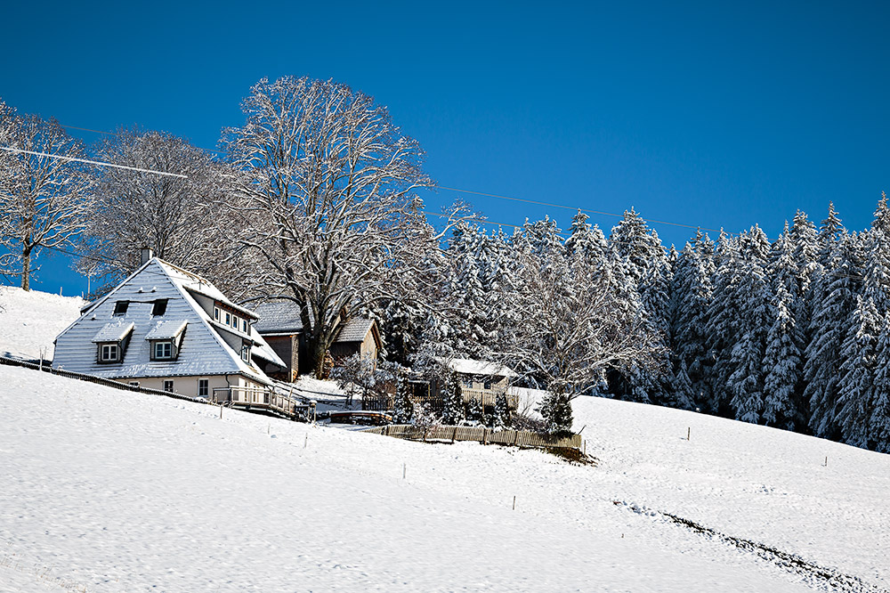 Schwarzwaldidylle