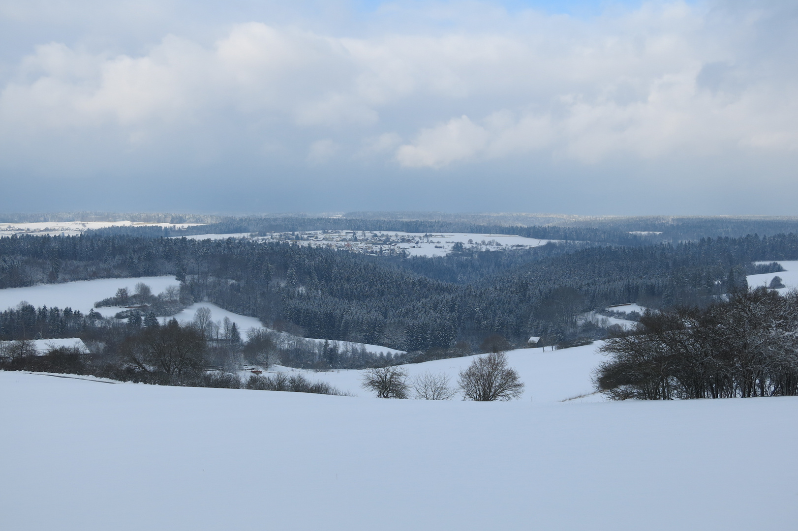 Schwarzwaldlandschaft