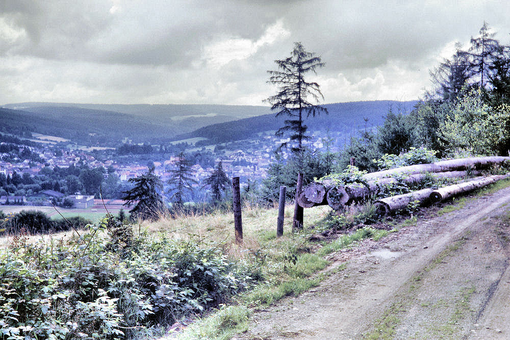 Schwarzwaldlandschaft