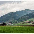 Schwarzwaldlandschaft mit Dampfzug mit fast ohne Dampf