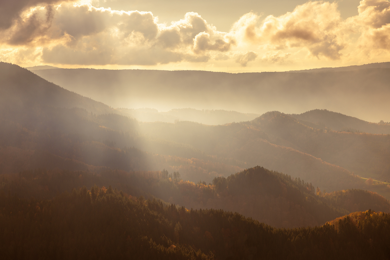 Schwarzwaldlicht