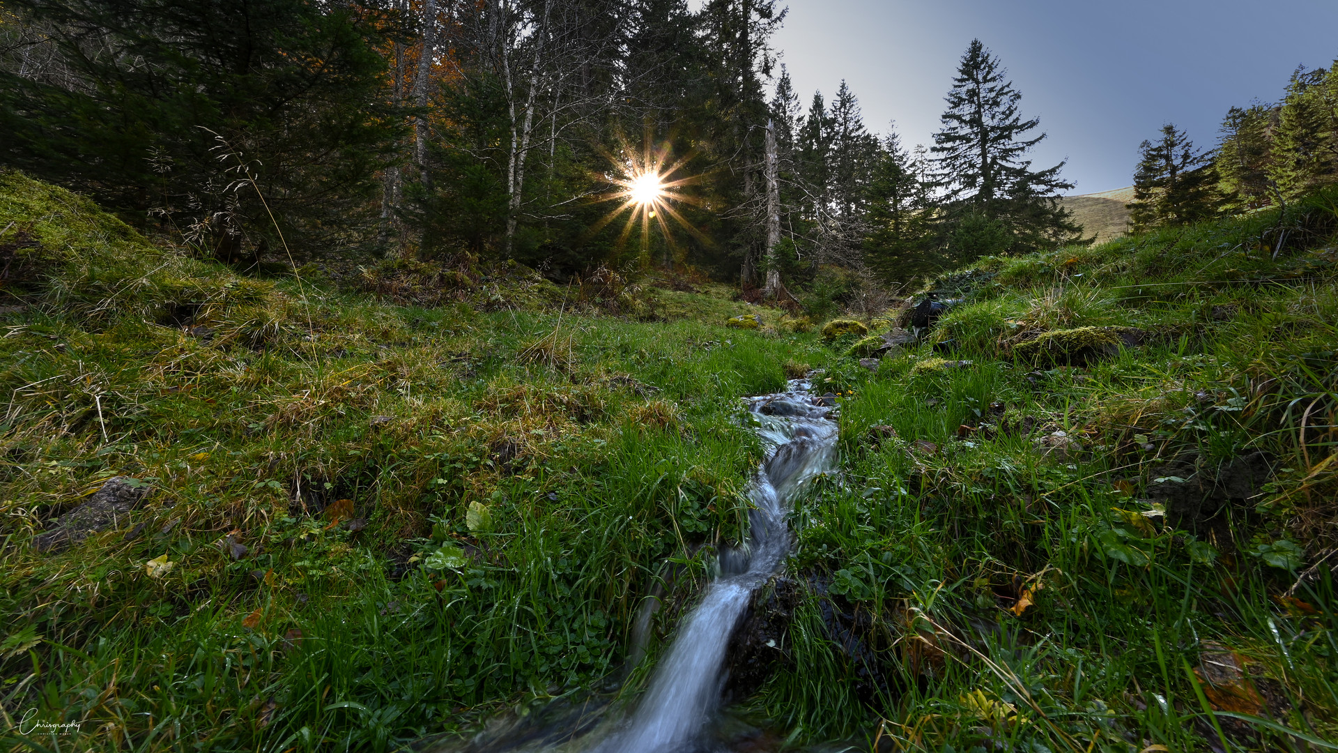 Schwarzwaldmoment am Belchen