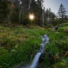 Schwarzwaldmoment am Belchen