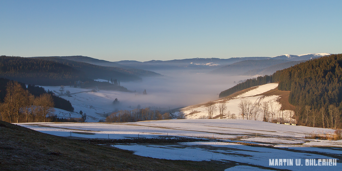 Schwarzwaldmorgen