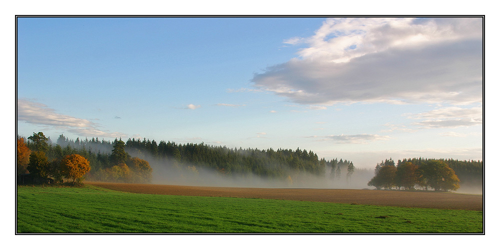 Schwarzwaldmorgen